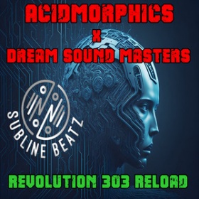 ACIDMORPHICS & DREAM SOUND MASTERS - REVOLUTION 303 RELOAD